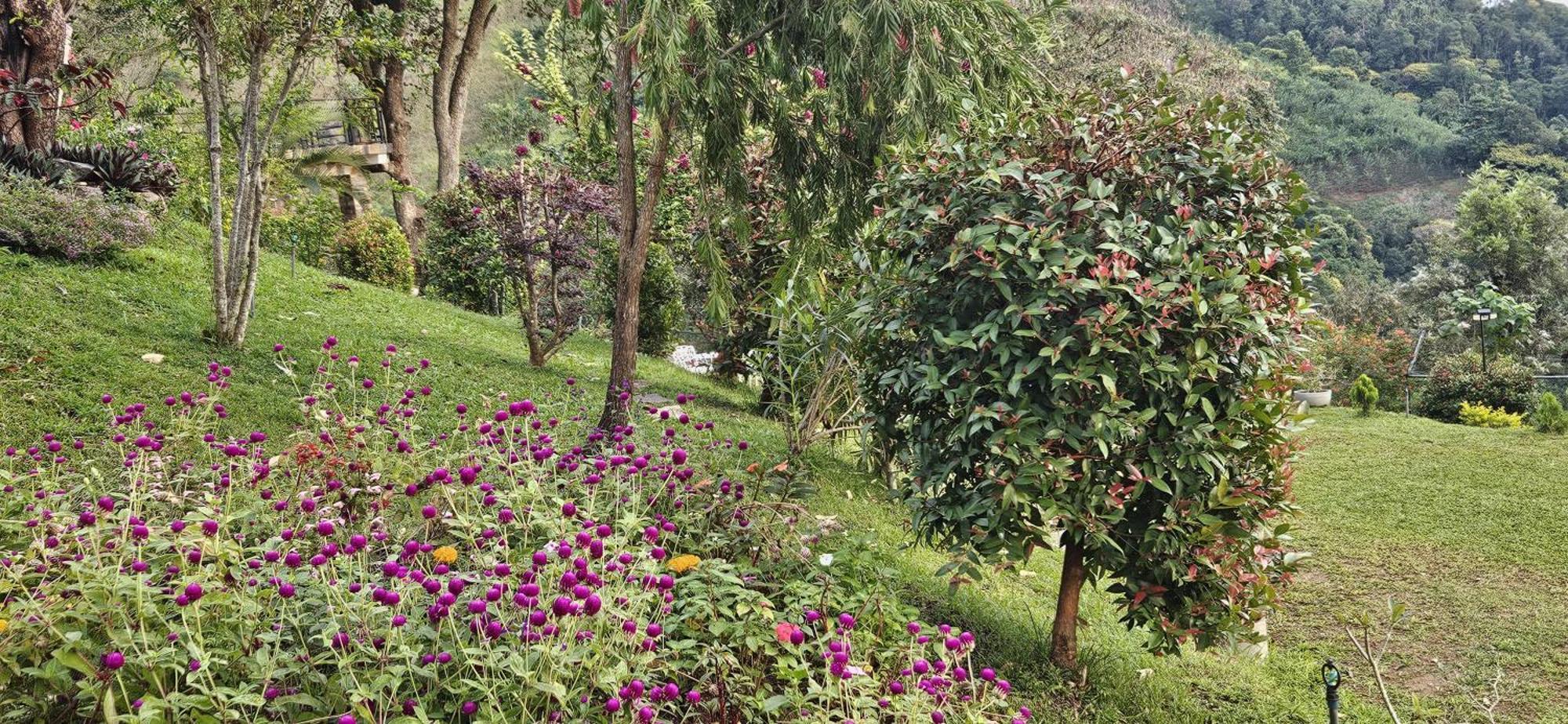 Sithara Estate Bungalow Ella Exteriér fotografie
