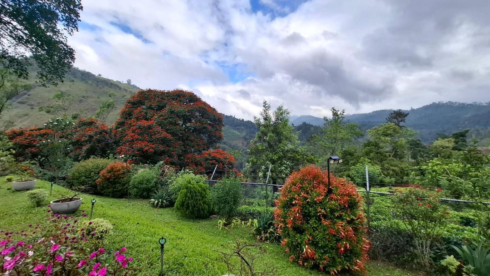 Sithara Estate Bungalow Ella Exteriér fotografie