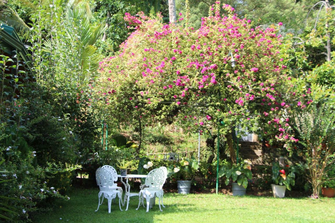 Sithara Estate Bungalow Ella Exteriér fotografie